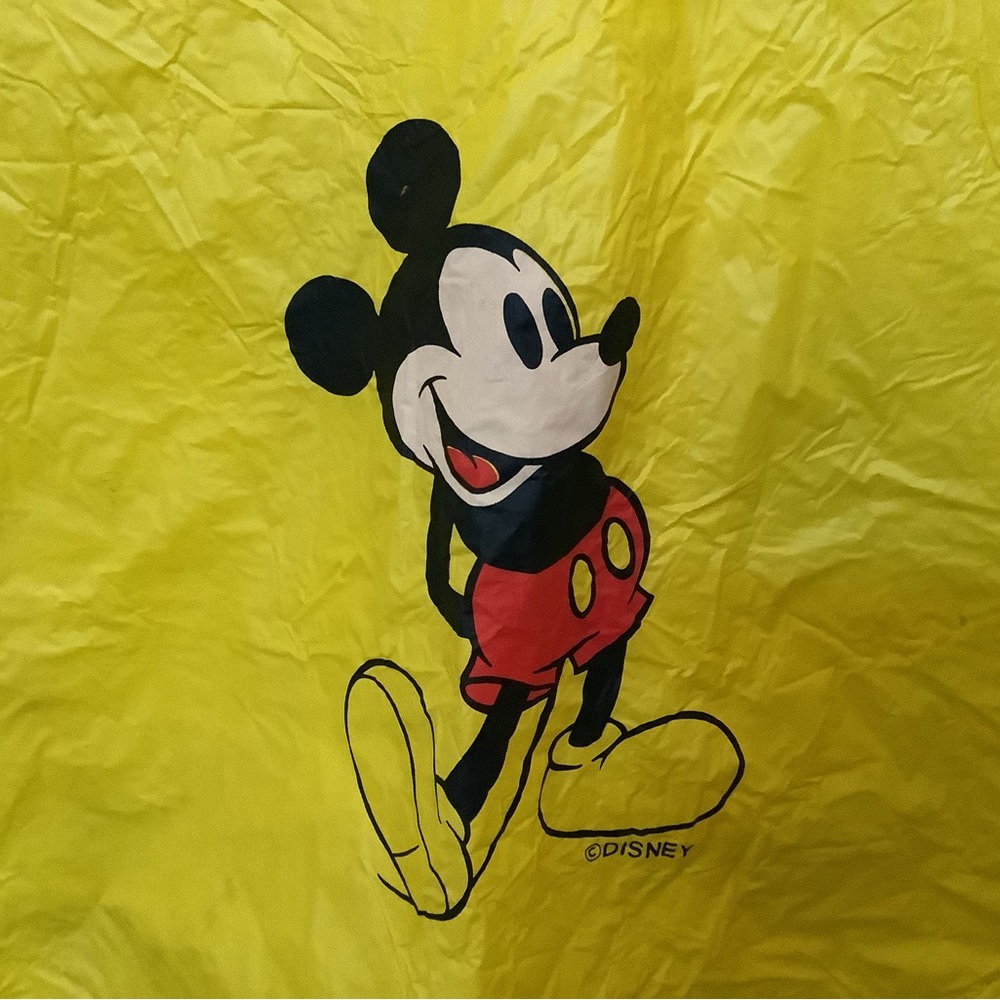 Disney parks Mickey Mouse poncho